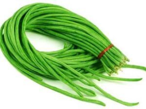 Beans Cowpea