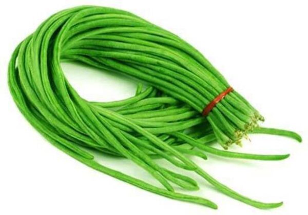 Beans Cowpea