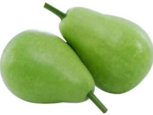 Bottle Gourd Round