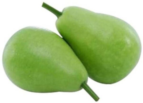 Bottle Gourd Round