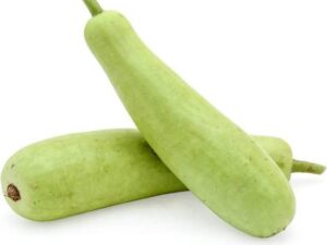 Bottle Gourd