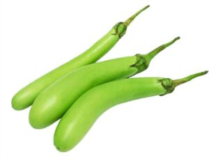 Brinjal Green Long