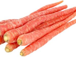 Carrot Red Long