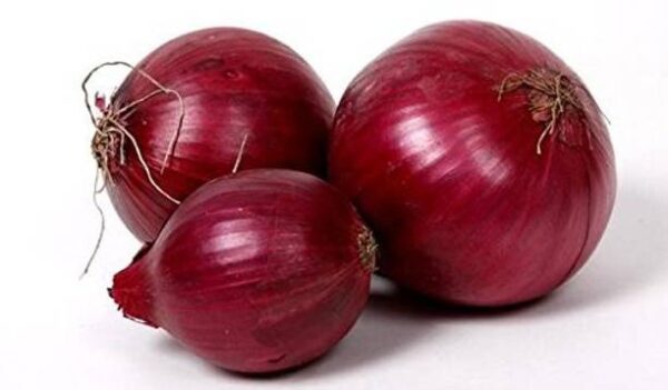Onion Premium