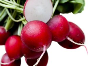 Radish Red