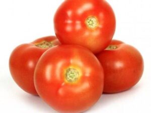 Tomato Local