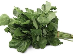 Amaranthus - Green