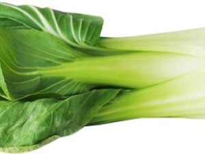 Bok Choy