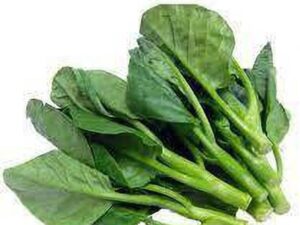 Malabar Spinach
