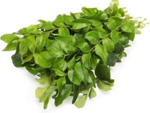 Curry Leaves