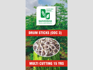 ODC - 3 Drumsticks Seeds