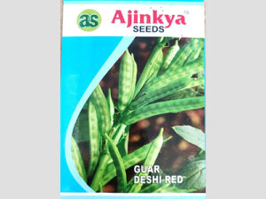 Desi Red Guar Seeds