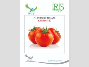 Iris Keshav-27 F1 Hybrid Tomato Seeds