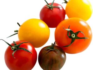 Cherry Tomato Mixed Color