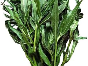 Kulekhara saag Leafy