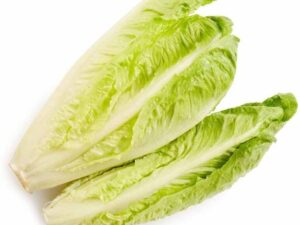 Namdhari's FRESH Lettuce Romaine