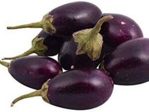 Brinjal Nagpur