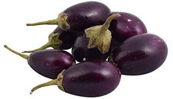Brinjal Nagpur