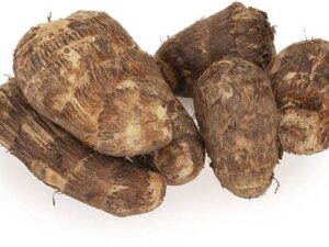 Colocasia