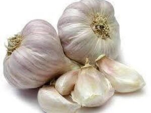 Garlic Chinese Mota