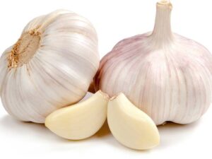 Garlic