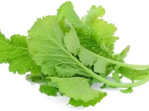 Mustard leaves Leafy