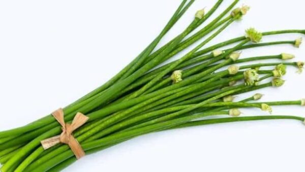 Onion flower Leafy
