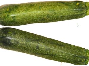 Zucchini - Green