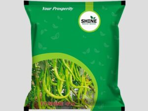 Shine 610  F1 Hybrid Chilli Seeds