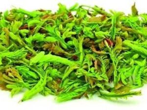 Tender Tamrind Leaves