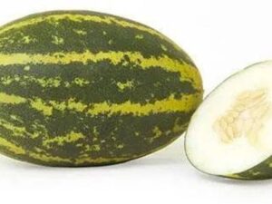 Cucumber Mangalore
