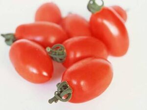 LPR TOMATO SEEDS Seed