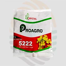 Crystal 5222 Hybrid Mustard Seeds