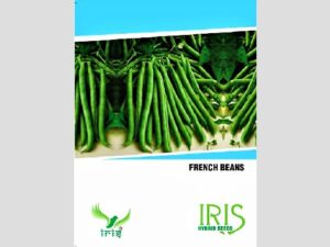 Iris OP French Beans Seeds