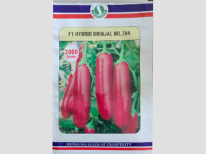 No. 704 F1 Hybrid Brinjal Seeds