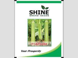 Apsara F1 Hybrid Bottle Gourd Seeds