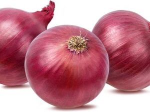 Onion