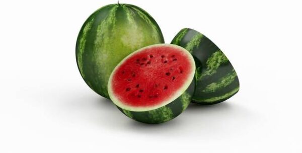 ZONATO Fruit seeds Water Melon Best Quality Hybrid pack...
