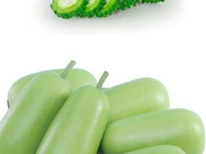 ZONATO Vegetable seeds bitter gourd and bottle gourd co...