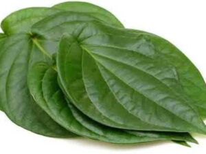 Betel Leaves