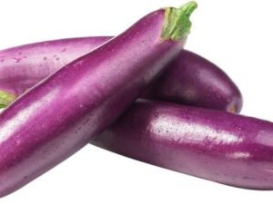 Brinjal long purple