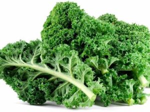 Kale