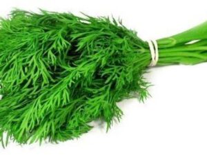 Dill Leaf