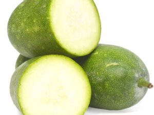 Ash Gourd