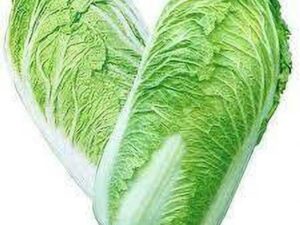 Chinese Cabbage