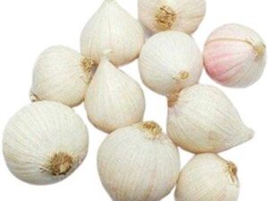 Fresh Garlic Ekali