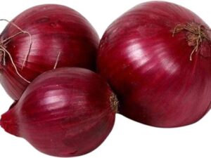 Onion Fresh