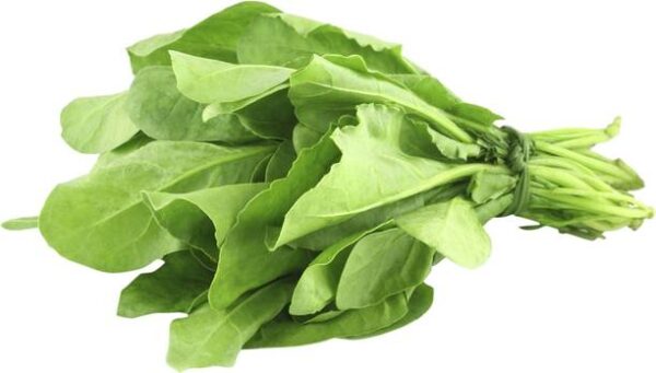 Palak