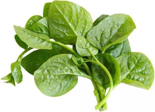 Pui saag Leafy