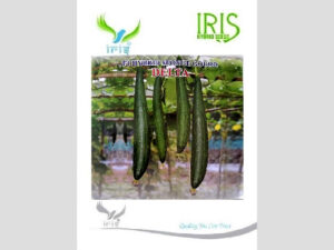 Iris Delta F1 Hybrid Sponge Gourd Seeds